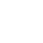 wordpress-150x150-1.png